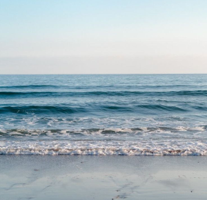 Hương vị biển cả như hòa quyện trong từng nốt hương