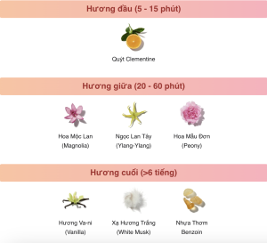 Tầng hương quyến rũ - thanh lịch - cuốn hút