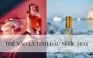 Tinh dầu nước hoa là gì