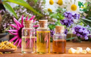 Tinh dầu nước hoa là gì